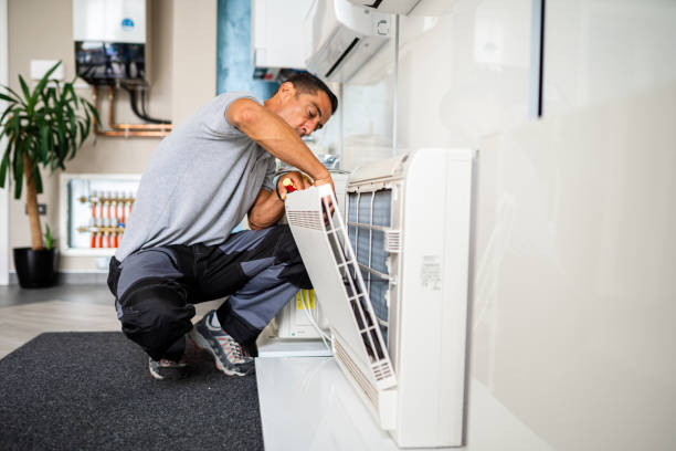 Best Air Duct Mold Removal  in Ller, WA